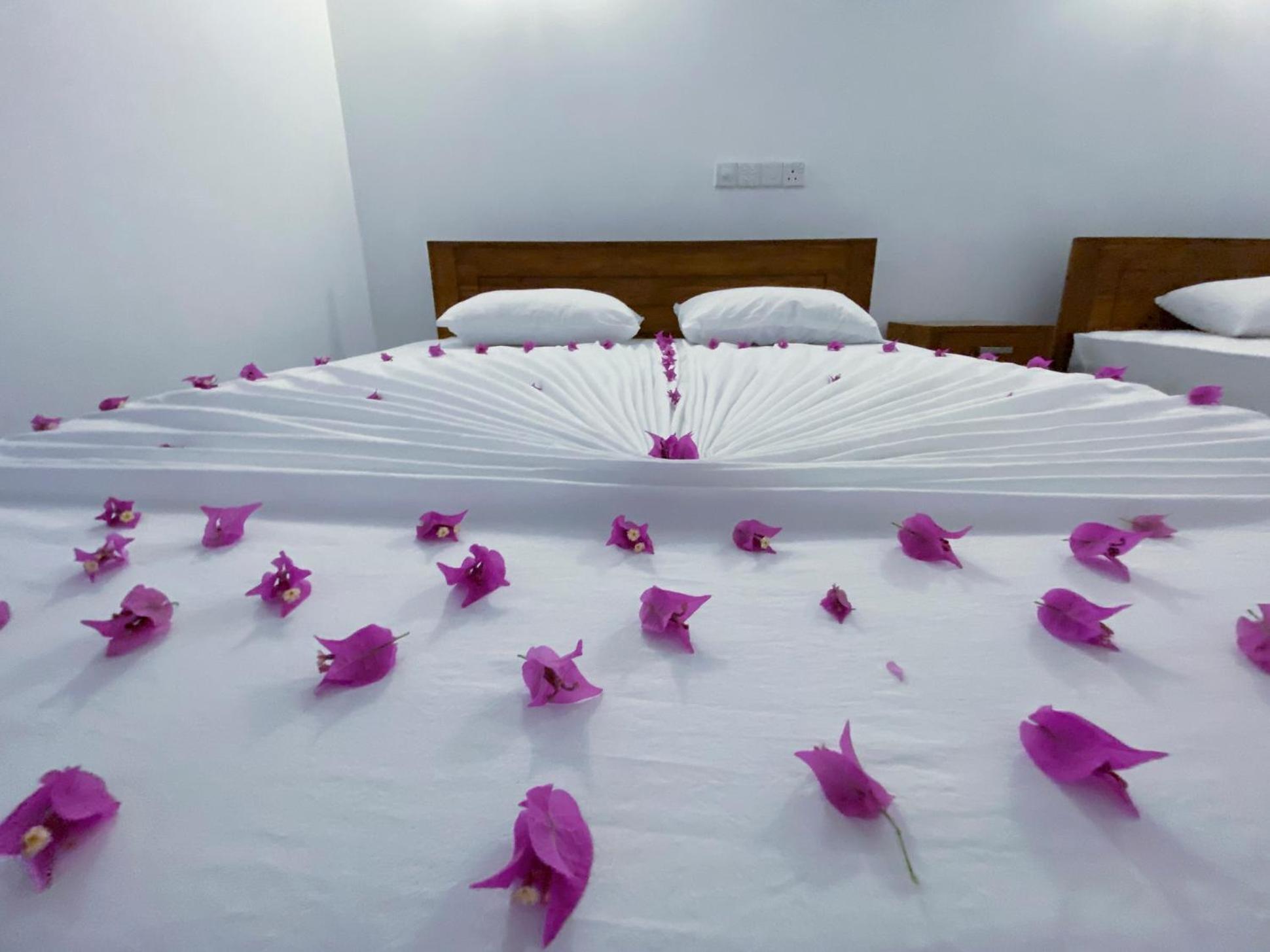 Yala Safari Green Home Stay Tissamaharama Luaran gambar
